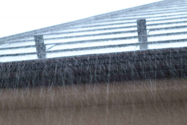 雨に打たれる屋根