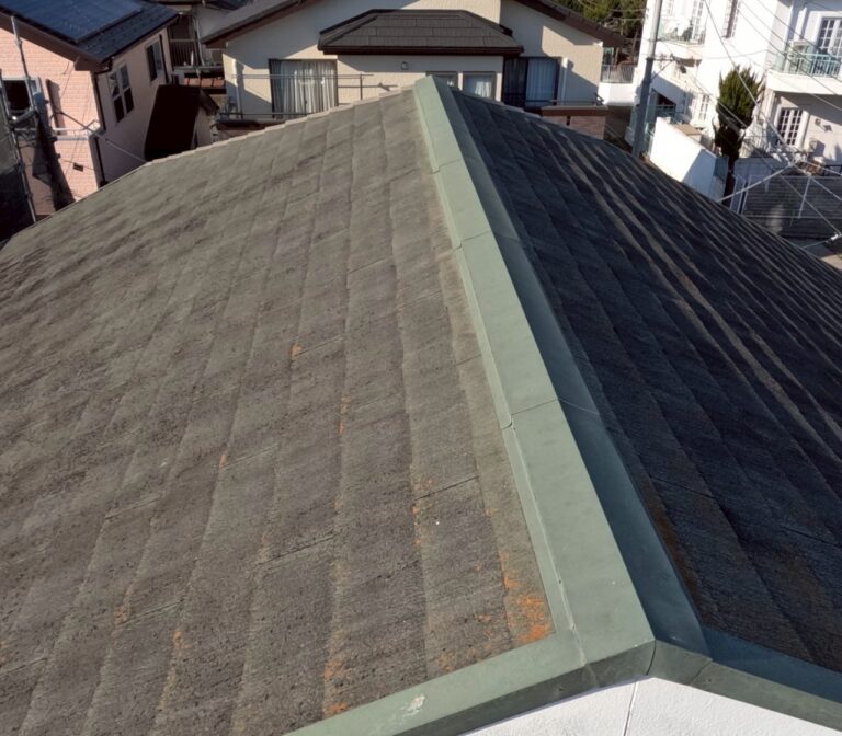 埼玉県狭山市 M様邸 外壁塗装・シリコンREVO-IR 屋根カバー工事・スーパーガルテクト