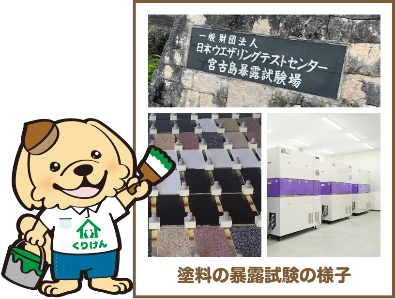 塗料の暴露試験の様子
