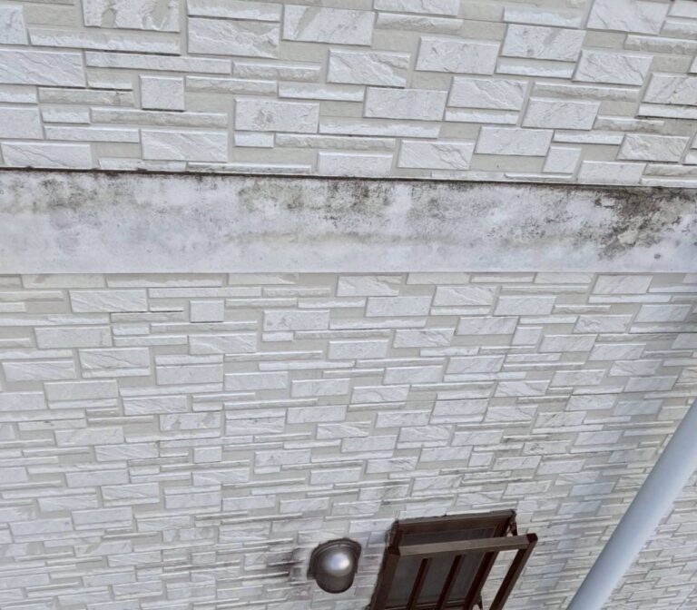 埼玉県狭山市　O様邸　外壁塗装・屋根カバー工事・幕板カバー